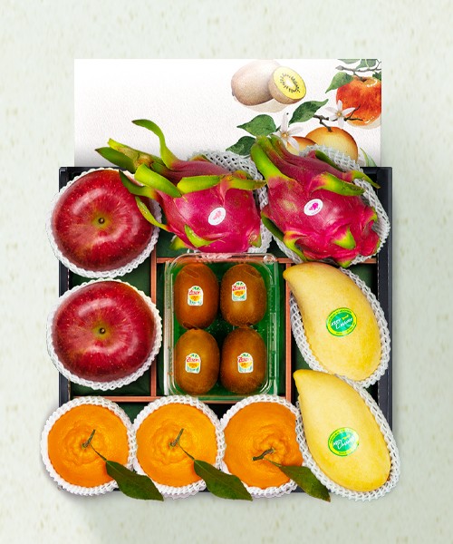 [정성담은]프리미엄 신선과일 5종 선물세트 1호 3.9kg(13과)